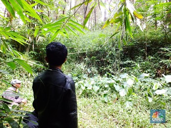 Penampakan Lokasi Kawah Raksasa Meteor Purba di Jabar Selatan