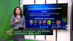 Dikriminasi Sawit RI Oleh Uni Eropa, Indonesia Bisa Apa?
