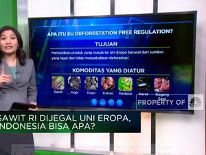 Dikriminasi Sawit RI Oleh Uni Eropa, Indonesia Bisa Apa?