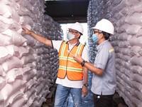 PKT Kawal Ketat Distribusi 252.443 Ton Stok Pupuk Subsidi
