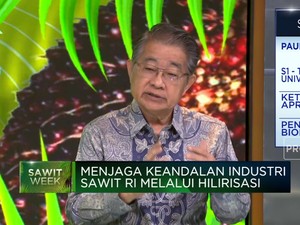 Banyak Manfaatnya! Pengusaha Siap Kembangkan Solar Sawit RI