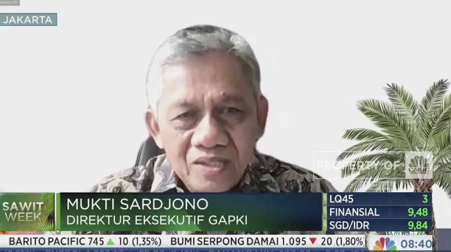 Direktur Eksekutif (GAPKI) Mukti Sardjono dalam acara Squawk Box, Sawit Week. (Tangkapan layar CNBC Indonesia TV)