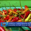 Harga Cabai Makin Pedas Daging Ayam Mulai Melandai