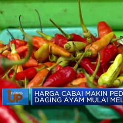 Harga Cabai Makin Pedas Daging Ayam Mulai Melandai