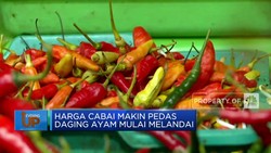 Harga Cabai Makin Pedas Daging Ayam Mulai Melandai
