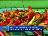 Harga Cabai Makin Pedas Daging Ayam Mulai Melandai