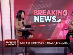 Harga Telur Juga Tiket Pesawat Mahal Biang Kerok Inflasi Juni