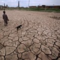 Mengenal Perbedaan El Nino dan La Nina