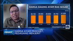 Jurus Bapanas Bikin Harga Daging Ayam Jadi Lebih 