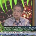Mantap! Garuda Bakal Uji Avtur Minyak Sawit, Cek Jadwalnya
