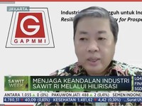 Bukan Cuma Buat Minyak Goreng, Ini 'Segudang' Potensi Sawit