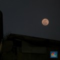 Bahaya Supermoon Awal Agustus 2023 Muncul dari Laut, Awas!