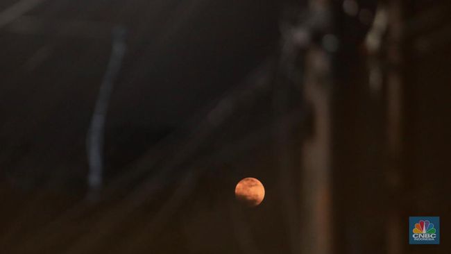 Ribuan Cahaya Muncul di Langit, Misteri 70 Tahun Mulai Terungkap