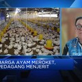 Peternak Tak Untung Meski Harga Daging Ayam Meroket, Kenapa?