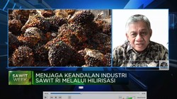 Sawit Dijegal Eropa,RI Genjot Hilirisasi & Incar Pasar Afrika