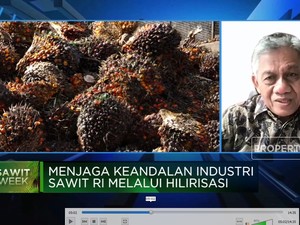 Sawit Dijegal Eropa,RI Genjot Hilirisasi & Incar Pasar Afrika
