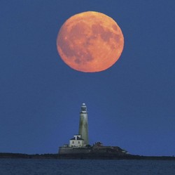 Fenomena Supermoon 1 Agustus 2023, Warga RI Bisa Lihat?