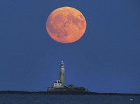 Fenomena Supermoon 1 Agustus 2023, Warga RI Bisa Lihat?