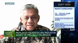 UU Anti-Deforestasi Disahkan, Ekspor Sawit RI ke Eropa Naik
