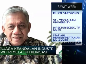 UU Anti-Deforestasi Disahkan, Ekspor Sawit RI ke Eropa Naik