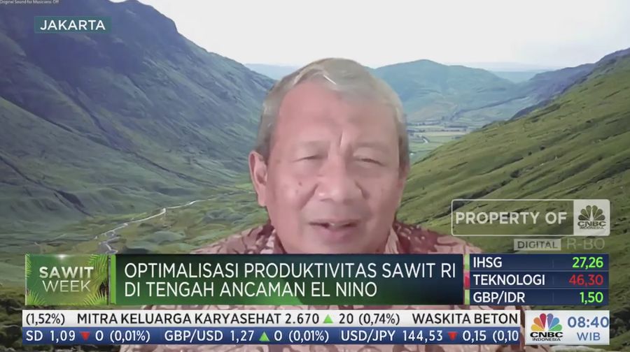 Anton Apriyantono Menteri Pertanian 2004-2009 dalam acara Squawk Box, Sawit Week, Selasa (4/7/2023). (Tangkapan layar CNBC Indonesia TV)