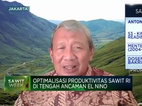 Dana Terbatas,Peremajaan Sawit Rakyat Terkendala Bibit Unggul