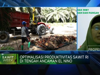 Dorong Produktivitas Sawit Pakai Teknologi AI, Caranya?