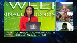 El Nino Mengancam, Produktivitas Sawit Nasional Apa Kabar?