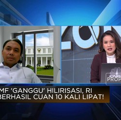 Heboh IMF Minta Jokowi Setop Hilirisasi, Ini Jawaban Istana