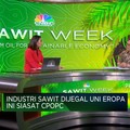 Eropa Jegal Sawit RI, Negara-Negara Ini Bisa Jadi Penyelamat