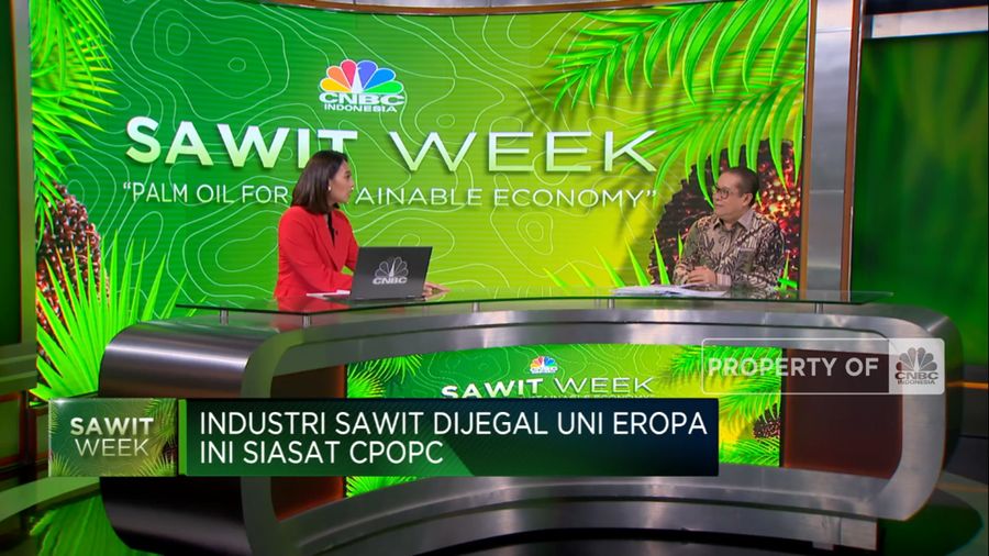Industri Sawit Dijegal Uni Eropa, Ini Siasat CPOPC (CNBC Indonesia TV)
