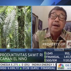 Kurangi Ketergantungan Pupuk Kimia, IPB Punya Terobosan Ini
