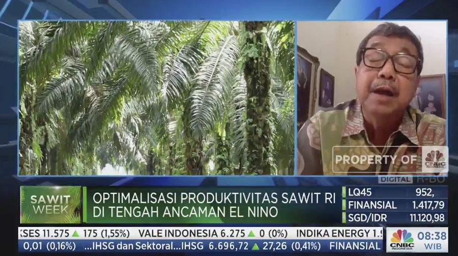 Kepala Pusat Studi Sawit IPB Budi Mulyanto dalam acara Squawk Box, Sawit Week, Selasa (4/7/2023). (Tangkapan layar CNBC Indonesia TV)