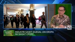 Video: Lobi-lobi Produsen Sawit! Lawan Diskriminasi Uni Eropa
