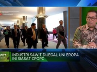 Video: Lobi-lobi Produsen Sawit! Lawan Diskriminasi Uni Eropa
