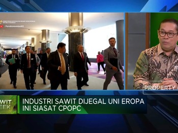 Video: Lobi-lobi Produsen Sawit! Lawan Diskriminasi Uni Eropa