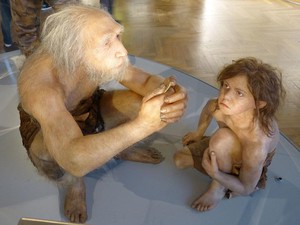 7 Perbedaan Neanderthal dan Homo Sapiens, Hampir Serupa tapi Tak Sama