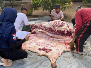 Ketentuan Banyaknya Daging untuk Orang yang Berkurban