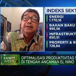 Selain El Nino, Masalah Besar di Sawit Ini Harus Beres!
