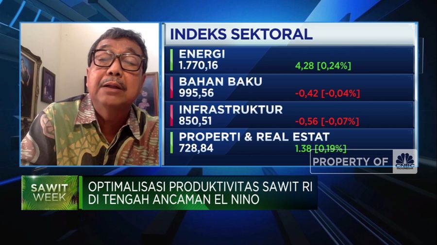 Pupuk Hingga Kemarau Panjang, Tantangan Petani Genjot Produksi Sawit RI (CNBC Indonesia TV)