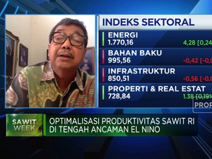 Pupuk Hingga Kemarau Panjang, Tantangan Genjot Produksi Sawit
