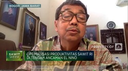 Riset IPB, 3 Hal Yang Bikin Program Peremajaan Sawit Sukses