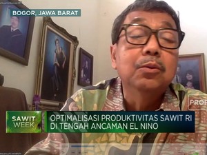 Riset IPB, 3 Hal Yang Bikin Program Peremajaan Sawit Sukses