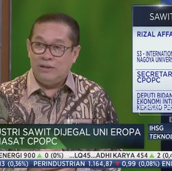 'Cegah' UE Jegal Sawit, RI-Malaysia Cuma Punya Waktu 18 Bulan