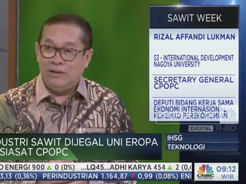 'Cegah' UE Jegal Sawit, RI-Malaysia Cuma Punya Waktu 18 Bulan
