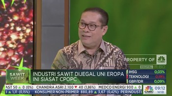 Nasib Petani Sawit Jadi Perhatian Serius CPOPC, Ini Alasannya