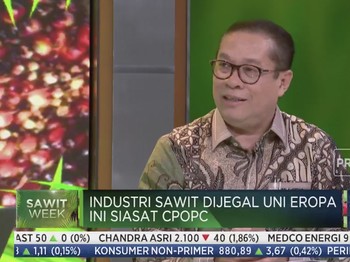 Nasib Petani Sawit Jadi Perhatian Serius CPOPC, Ini Alasannya
