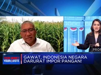 Darurat Impor Pangan, Indonesia Krisis Petani?