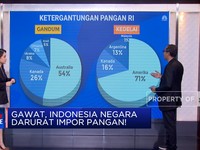 Gawat! Indonesia Darurat Impor Pangan