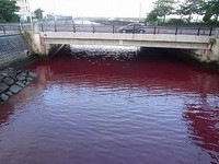 Ngeri! Sungai di Jepang Berubah Jadi 'Darah', Ini Penyebabnya